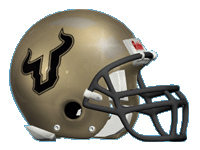 USF helmet - University of South Florida's football helmet