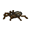 Spider - Little creepy crawlies that don't like to stay out of people's homes. Spider - Little creepy crawlies that don't like to stay out of people's homes.