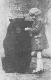 Winnie the pooh - Original winnie the pooh