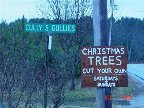 gulleys - who&#039;s cullie and whats a gulley?