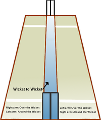 Cricket pitch - The cricket pitch