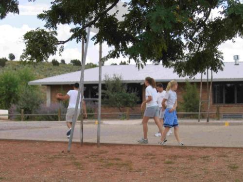 basketball - playing basketball