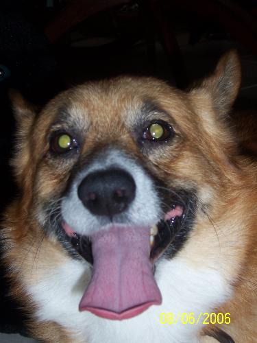 Rosco - This is my baby rosco!!!!