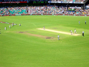 The Cricket Pitch - The beautiful picture of the cricket pitch