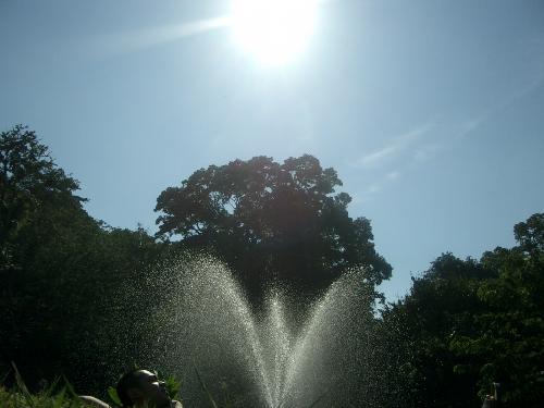 summer all year. - waterwork and 12 o'clock sun.