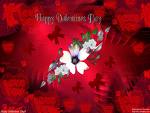 love in air! - valentines day for each and every one!!!!