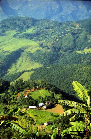 Scenary of Nepal - A village in the hills of Nepal