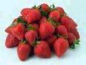 strawberries - its so yummy..