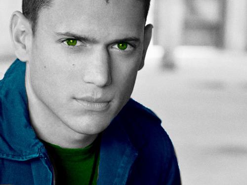 Prison Break - Wentworth miller of prison break!