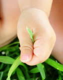 green thumb - baby and plants