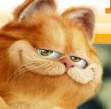 garfield - The new garfield movie