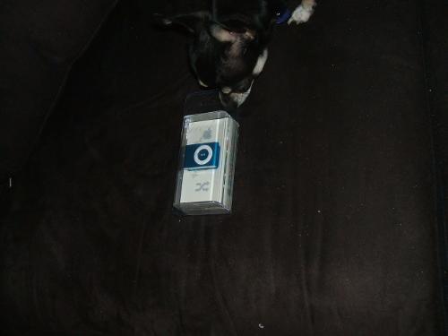 My Free Ipod - This is the first free Ipod that I recieved in the mail and I earned it on the internet.