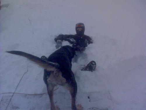 same son with the dog trying to get him in the sno - same son with the dog trying to get him in the snow