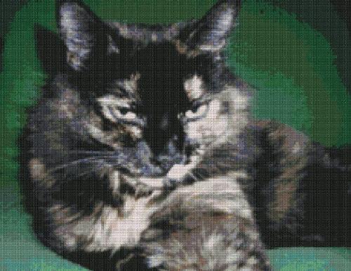 Jellybean - This is a cross-stitch pattern I made from a picture of my cat, Jellybean. I'm about halfway done with it right now. When it's finished, I'm going to make it into a pillow. I'm going to have to keep Jellybean from destroying it with her claws, though.