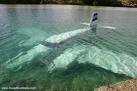 water landing - commercial jet crashed into water