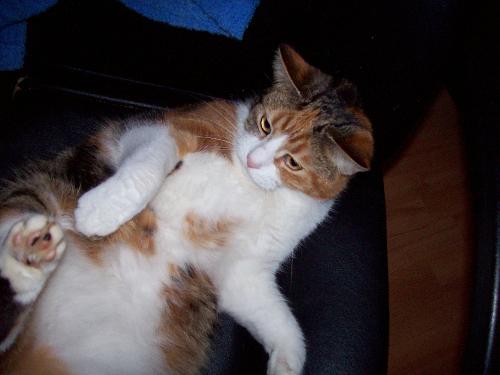 Tickle me! - Rainbow, letting it all hang out.
