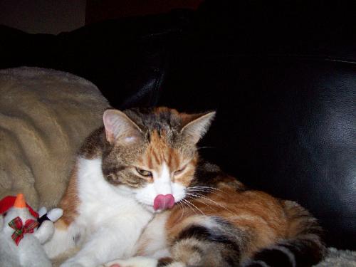 Mmmmmm Taste Good! - ........................ And for my next trick, i'll touch my nose with my tongue!