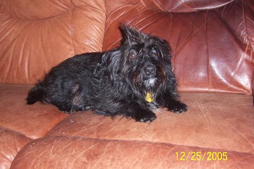 Mohawk - this is Norton, my other baby!