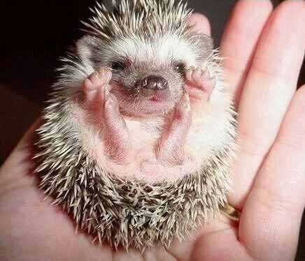 cute?  - just look at those tiny feet...hehe