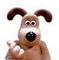 dog - dog