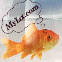 Mylot.com fish - Gold fish and mylot.com