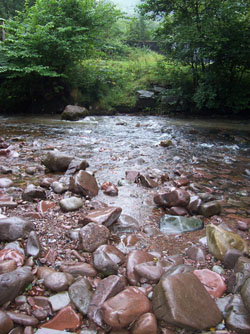 Wales in the Summer - This is in the southern part of Wales which I visited last summer. This is just a small part of a beautiful country