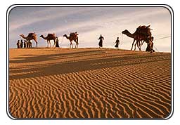 Rajasthan - Camel Safari In Rajasthan
