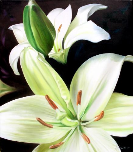 beautiful english lilies - beautiful english lilies - will brighten up any room!