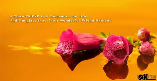 hello frnd - it just shows, how much- beautiful the flower is? whether it is in rising mode or in fading mode.
