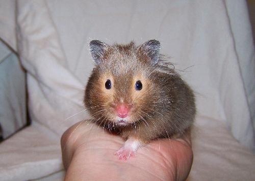 Maicee Grey - this is my cutie pie, Maicee Grey, she's the awesomest ever.