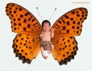 Children - Children in a Butterfly