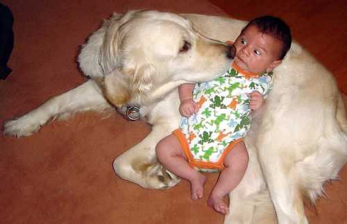 puppy take care of my baby.lolo - cutify