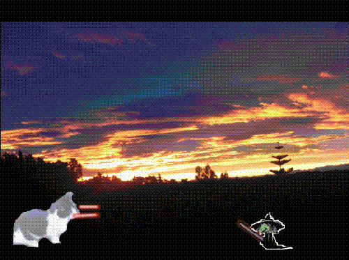 Cat Owning Witch - A Litle Cat owning a little Witch LOL