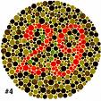 What does it shows ? - What does the pic shows What does it shows ? - What does the pic shows