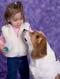 dogs and kids - dogs and kids-to be trusted together?