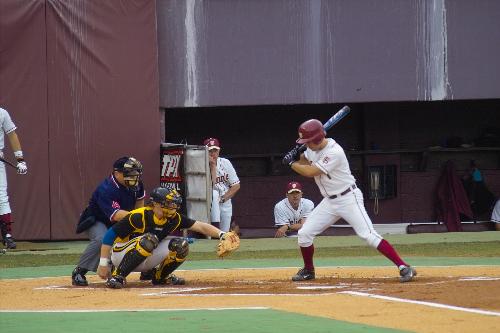 Baseball - A picture of baseball.