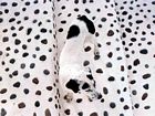 what's in the picture?? - Black dots on white sheet? what's in the picture?? - Black dots on white sheet?