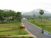 Natural view - view