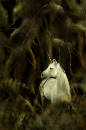 a unicorn - white unicorn