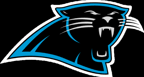 NFL carolina panthers - carolina panthers nfl