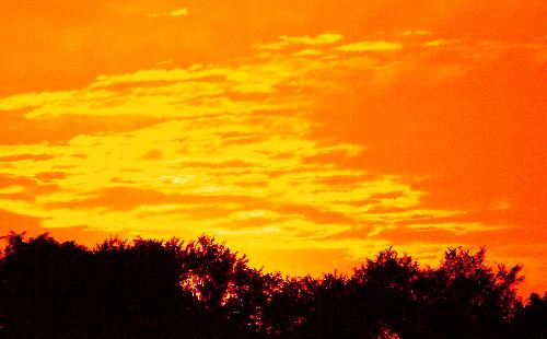 Juicy Orange Sunset - Taken on the rolling hills of High Park, Toronto, ontario, Canada.