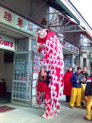 chinese new year dancing dragon - the chinese new year, dancing dragon. chinese new year dancing dragon - the chinese new year, dancing dragon.