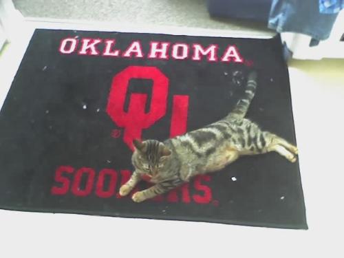 ou - Baby Dirt sittin on the OU mat.