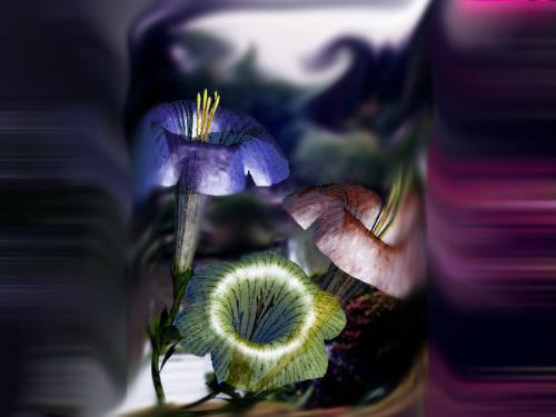 Garden - A garden abstract