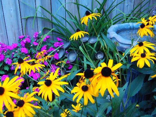 Garden Flowers Continued - I was walking the street with my friend when a lady saw me taking pictures and sked if I could do a few shots of her back yard. She had a small yet beautiful garden in the back of her house. I couldn't resist taking a picture of this arrangement.  Taken in the Beach area of downtown Toronto, Ontario, Canada 2006.