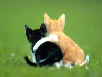 Friendship - Make an everlasting friendship