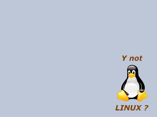 Y Not Linux . . .? - Wallpaper I use for my laptop . . . 