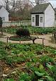 garden - kitchen garden garden - kitchen garden