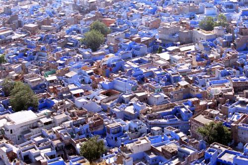 blue city - This is veiw of blue city...jodhpur  A place of kings, fort and history