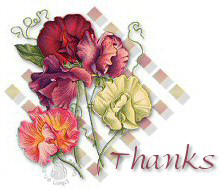 thanks - photo to express thank